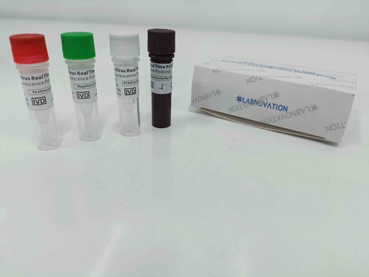 Teste Kit With Positive/controle negativo do PCR de Monkeypox do tempo real