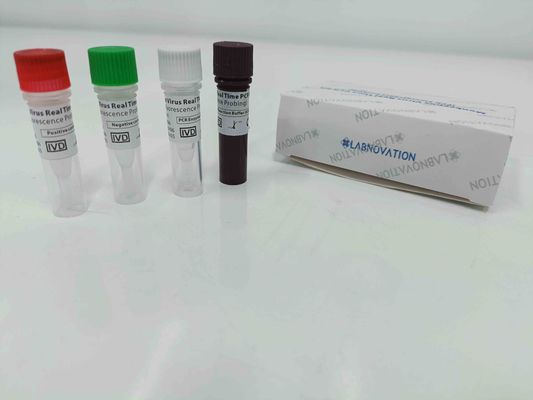qualidade  Real Time Monkeypox PCR Test Kit With Positive / Negative Control fábrica