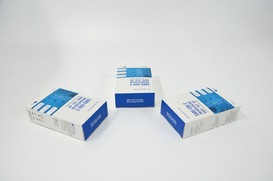 Jogos rápidos do teste de fluxo de 1PCS 15 Min Ag Test Kit SARS-CoV-2
